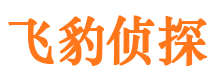 塔河外遇调查取证